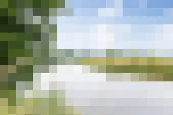 Heunpark 4612 Vught thumbnail 25