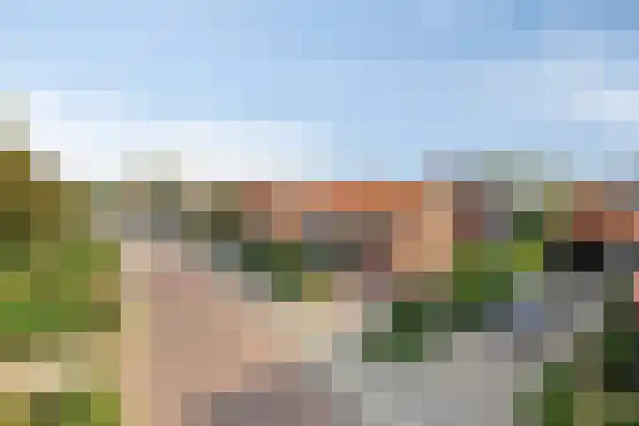 Heusdenseweg 13 A Elshout thumbnail 5