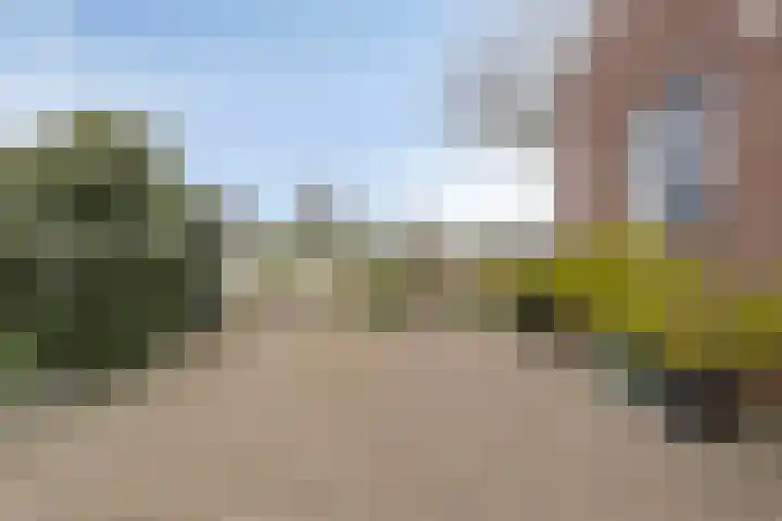 Heusdenseweg 15 Haarsteeg thumbnail 26