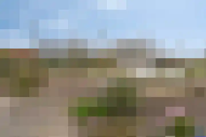 Heusdenseweg 15 Haarsteeg thumbnail 29