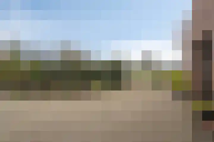 Heusdenseweg 15 Haarsteeg thumbnail 30