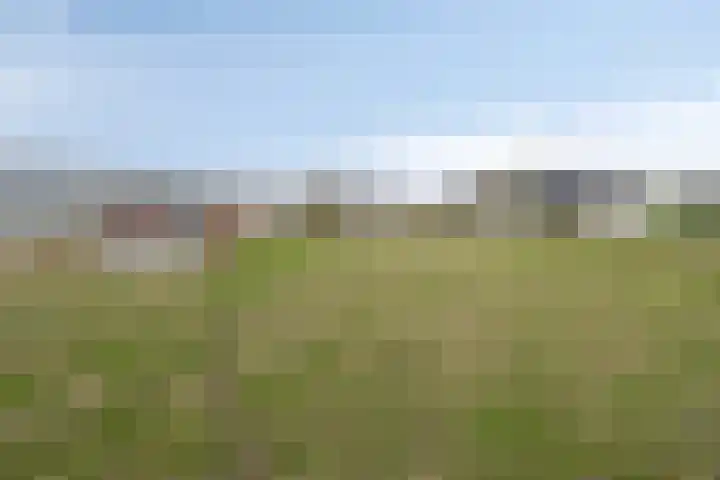 Heusdenseweg 15 Haarsteeg thumbnail 32