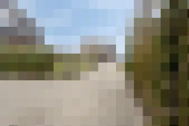 Heusdenseweg 15 Haarsteeg thumbnail 35