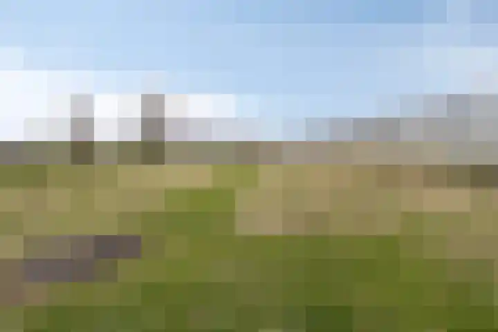 Heusdenseweg 15 Haarsteeg thumbnail 5