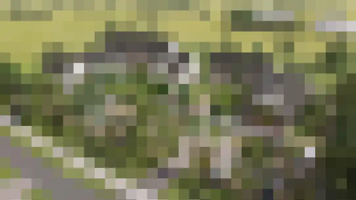 Heusdenseweg Herpt thumbnail 5