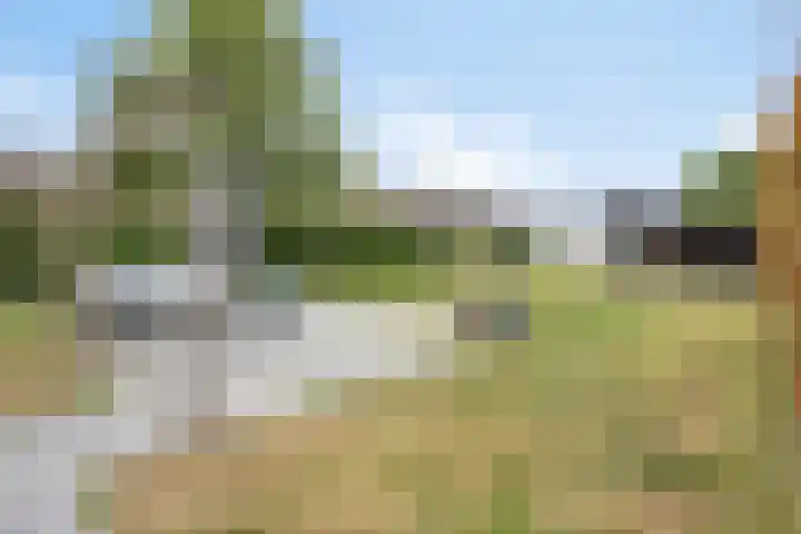 Heuvel 11 a Vorstenbosch thumbnail 35