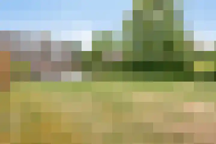 Heuvel 11 a Vorstenbosch thumbnail 41