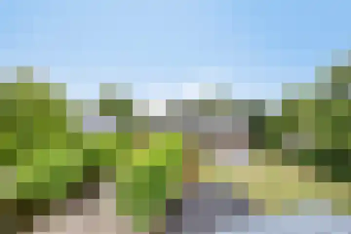 Heuvel 11 a Vorstenbosch thumbnail 42
