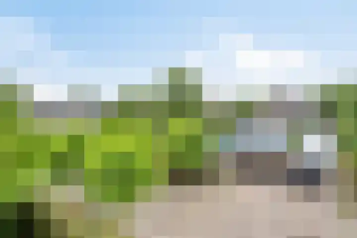 Heuvel 11 a Vorstenbosch thumbnail 43