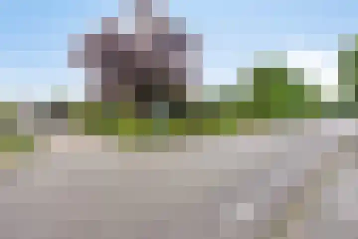 Heuvel 11 a Vorstenbosch thumbnail 48