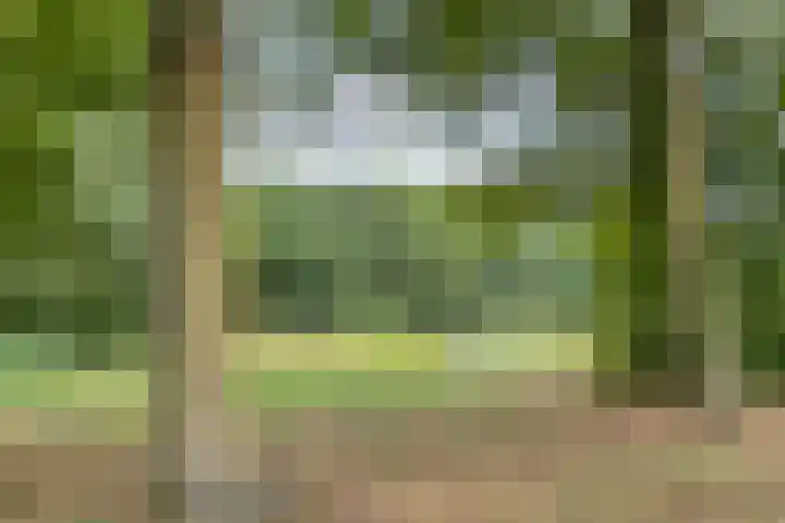Heuvel 11 a Vorstenbosch thumbnail 50