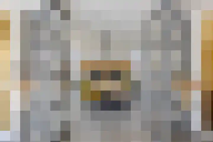 Heuvel 17 Vorstenbosch thumbnail 10