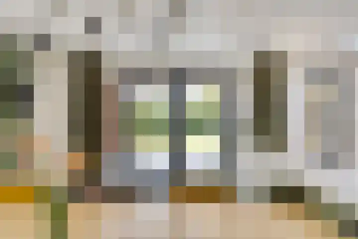 Heuvel 17 Vorstenbosch thumbnail 12