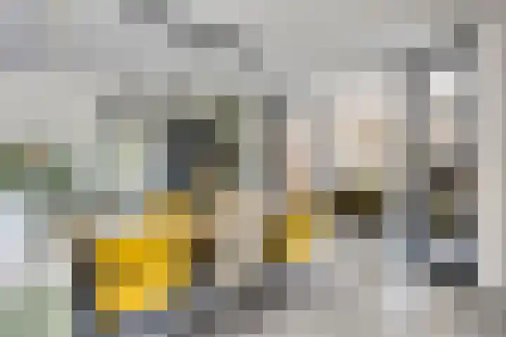 Heuvel 17 Vorstenbosch thumbnail 15