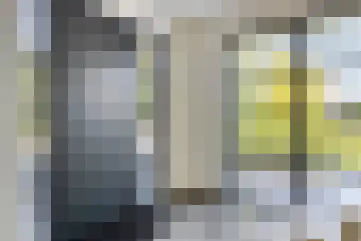 Heuvel 17 Vorstenbosch thumbnail 4