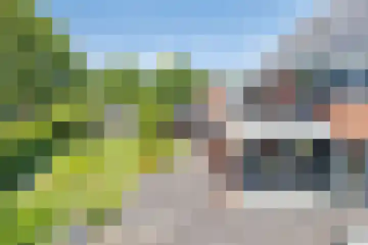 Heuvel 17 Vorstenbosch thumbnail 41