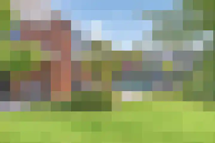 Heuvel 17 Vorstenbosch thumbnail 47