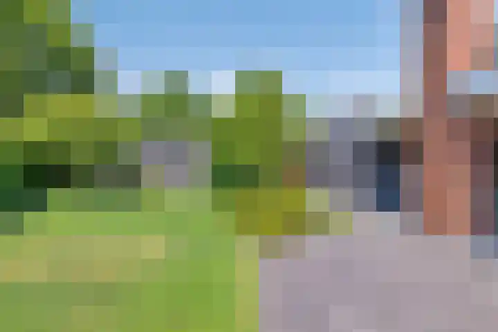 Heuvel 17 Vorstenbosch thumbnail 49