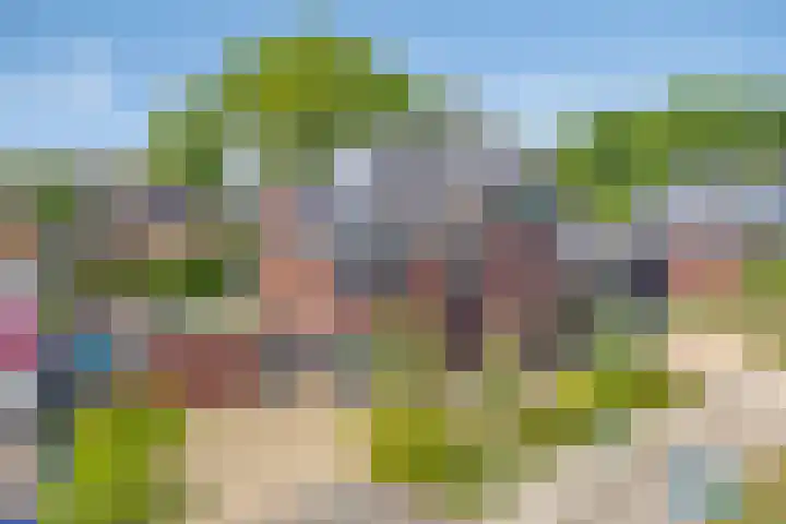 Heuvel 17 Vorstenbosch thumbnail 57