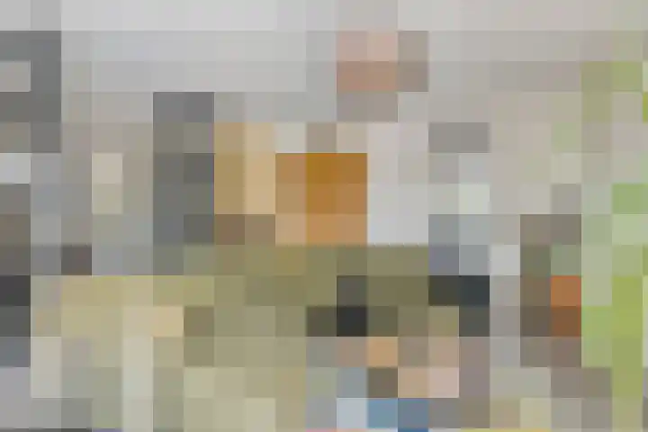 Heuvel 17 Vorstenbosch thumbnail 7