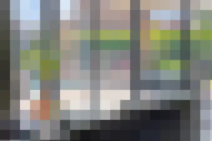 Heuvel 17 Vorstenbosch thumbnail 8