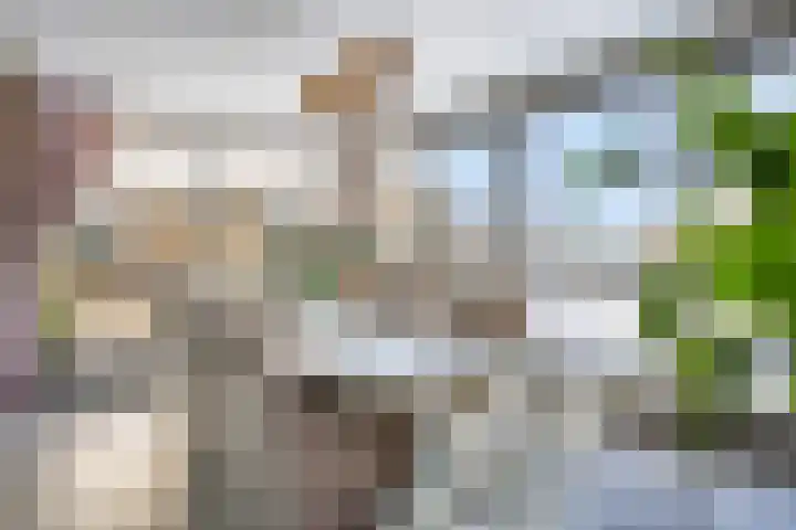 Heuvel 23 Hoogeloon thumbnail 10
