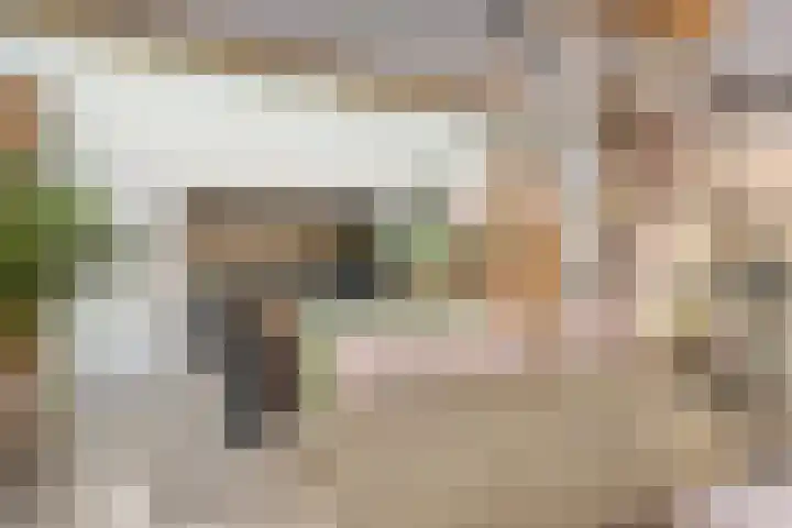 Heuvel 23 Hoogeloon thumbnail 11