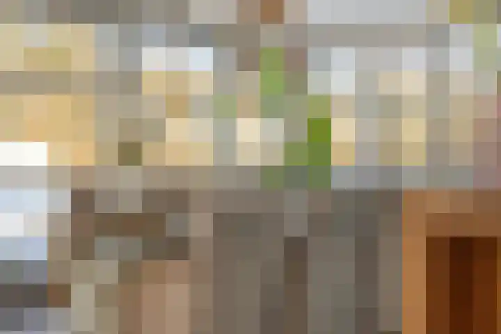 Heuvel 23 Hoogeloon thumbnail 13