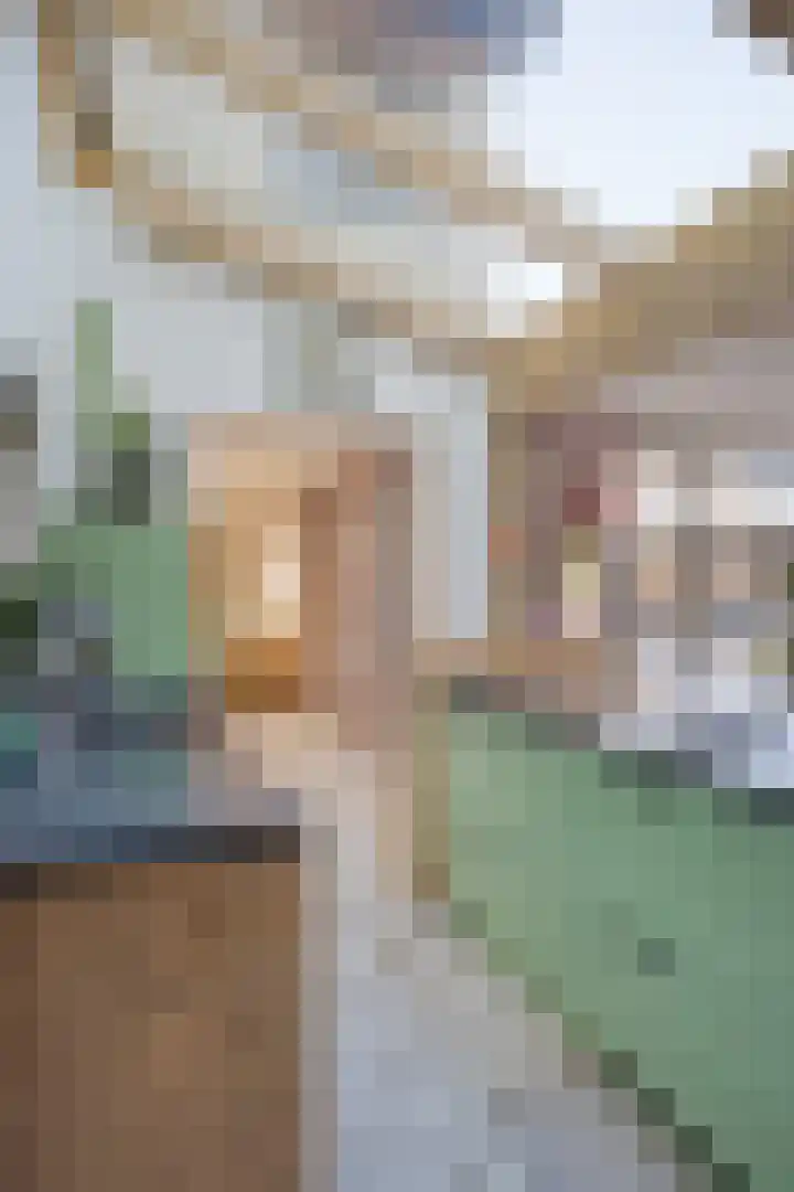 Heuvel 23 Hoogeloon thumbnail 20