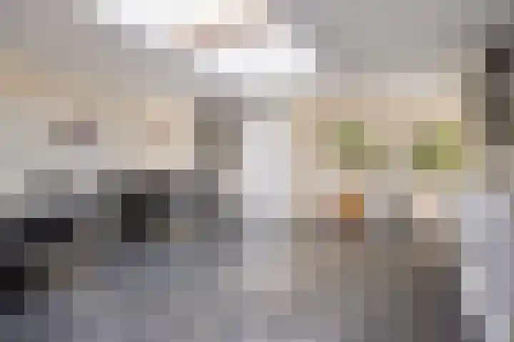 Heuvel 23 Hoogeloon thumbnail 22