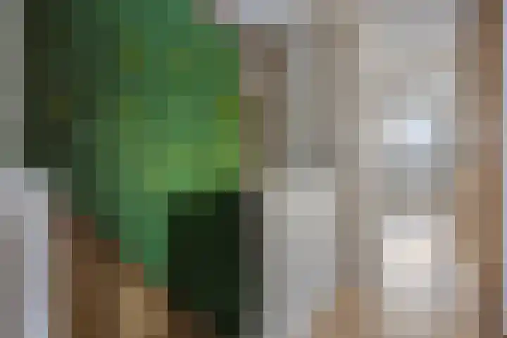 Heuvel 23 Hoogeloon thumbnail 24
