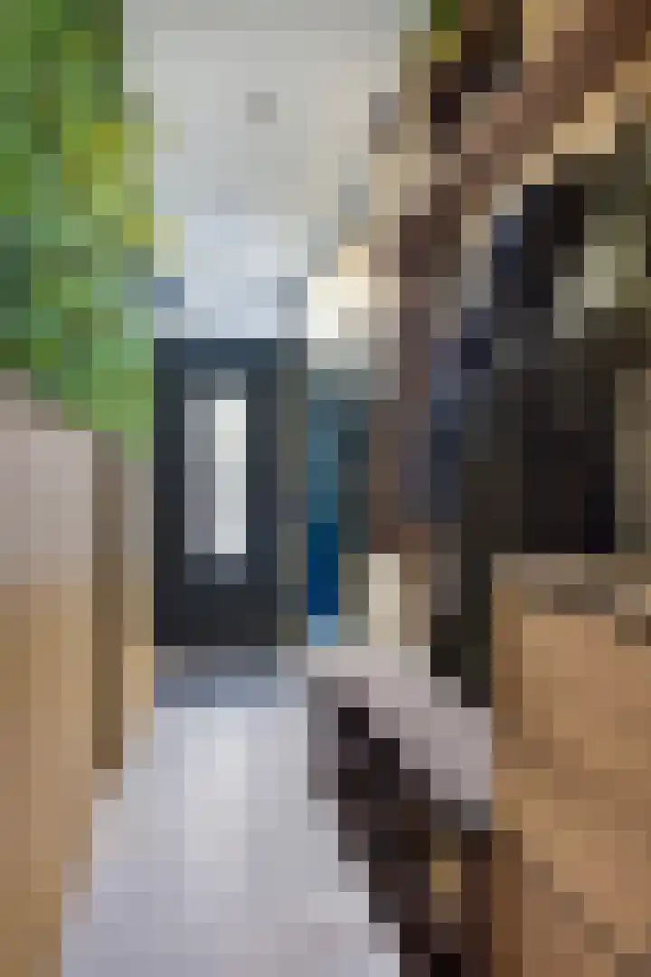 Heuvel 23 Hoogeloon thumbnail 4