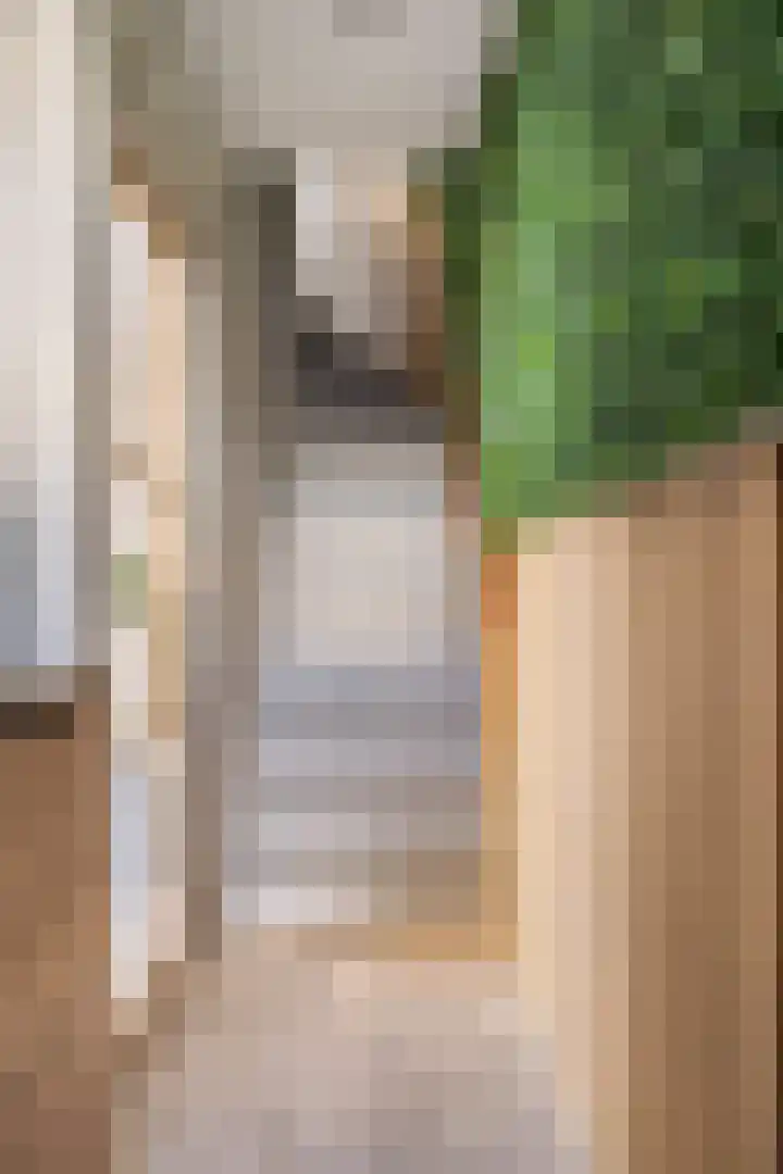 Heuvel 23 Hoogeloon thumbnail 5