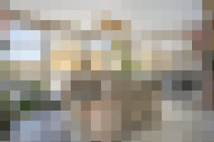 Heuvel 23 Hoogeloon thumbnail 9