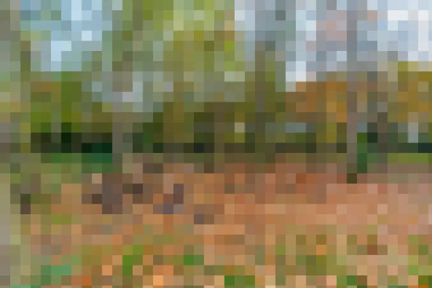 Heuvelacker 2 Bakel thumbnail 16