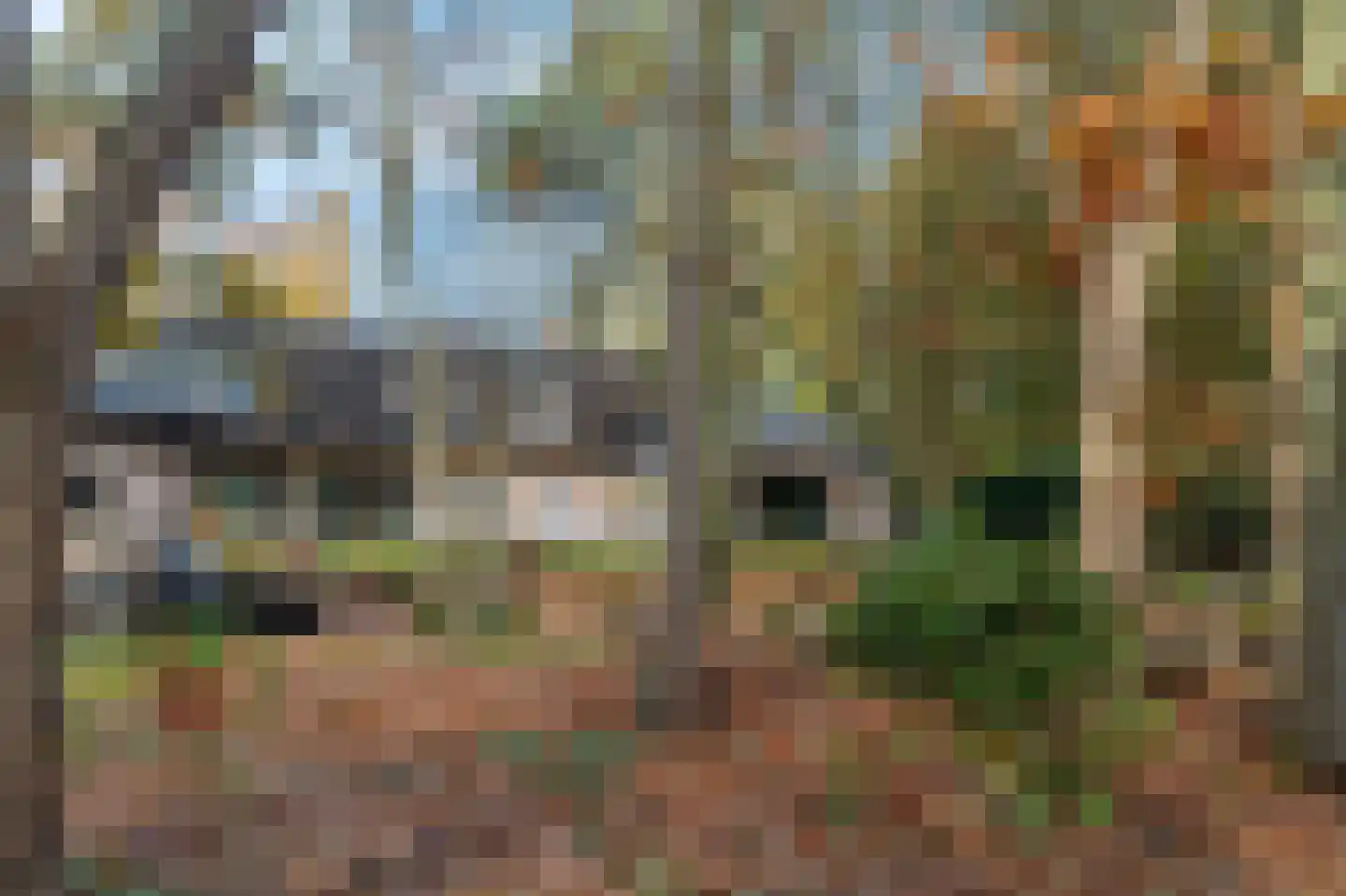 Heuvelacker 2 Bakel thumbnail 17