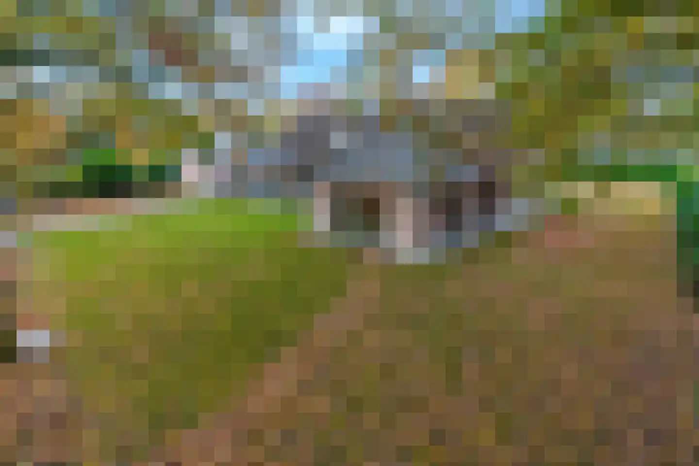 Heuvelacker 2 Bakel thumbnail 18
