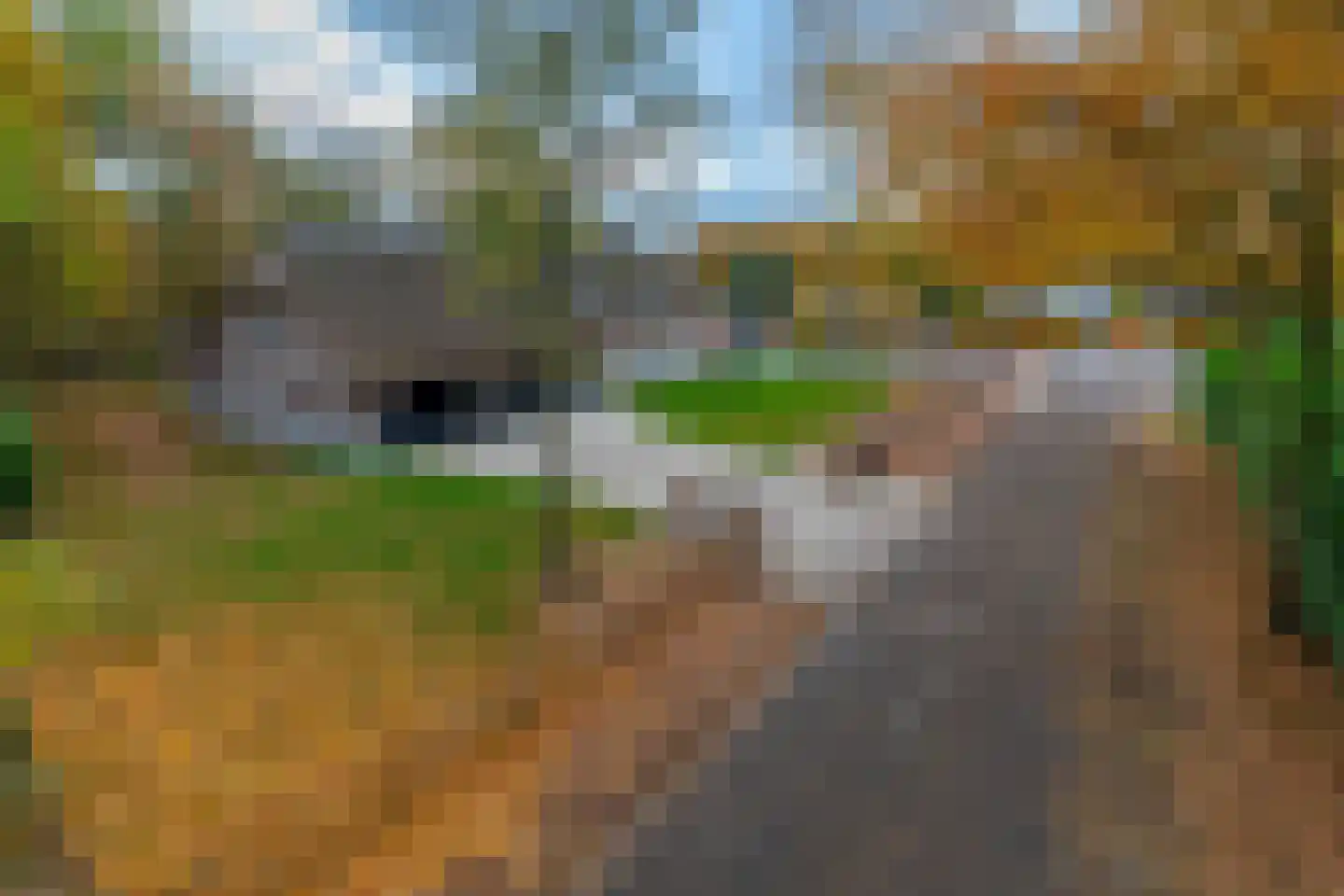 Heuvelacker 2 Bakel foto 2