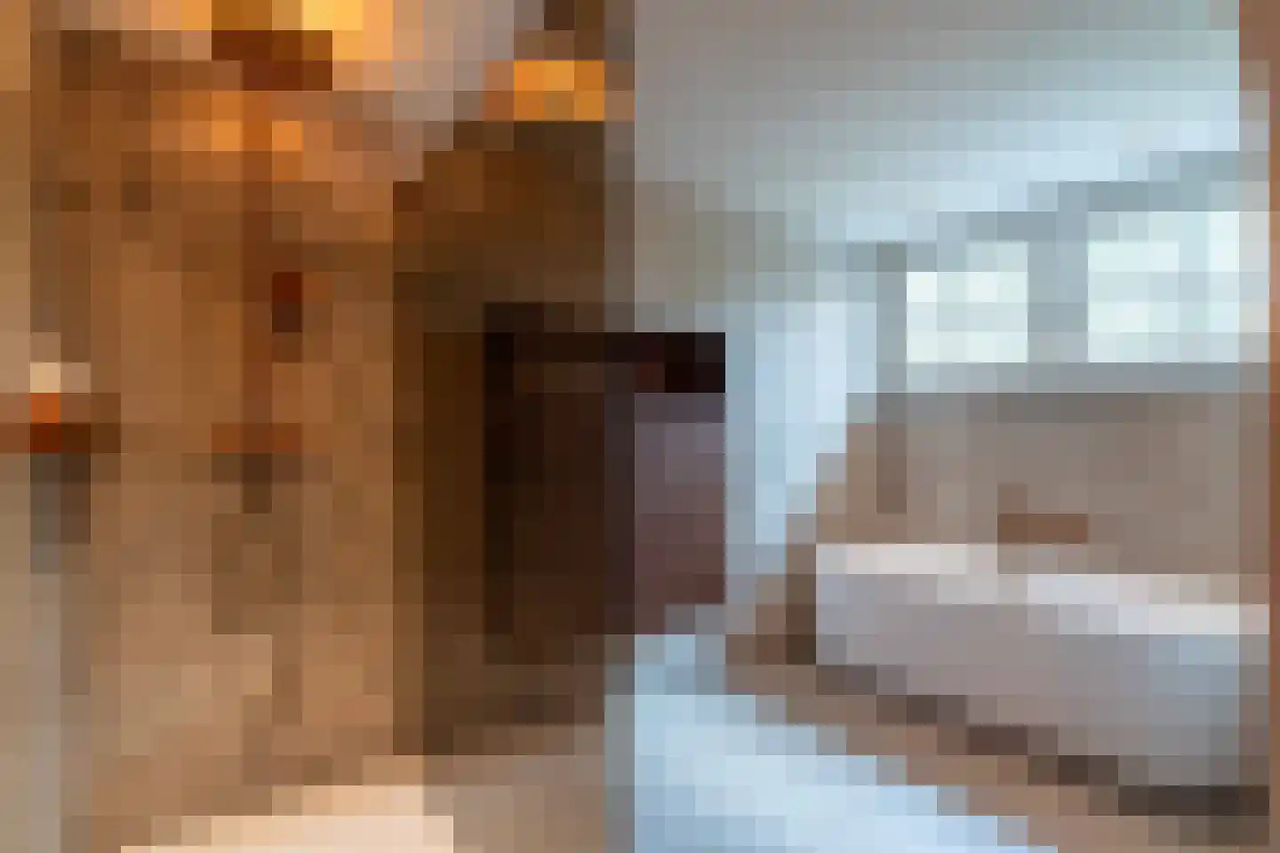 Heuvelacker 2 Bakel thumbnail 89