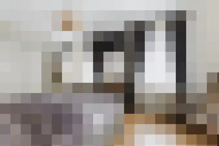 Heuveleind 1 Steensel thumbnail 11