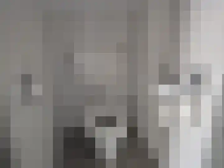 Heuveleind 7 Steensel thumbnail 7