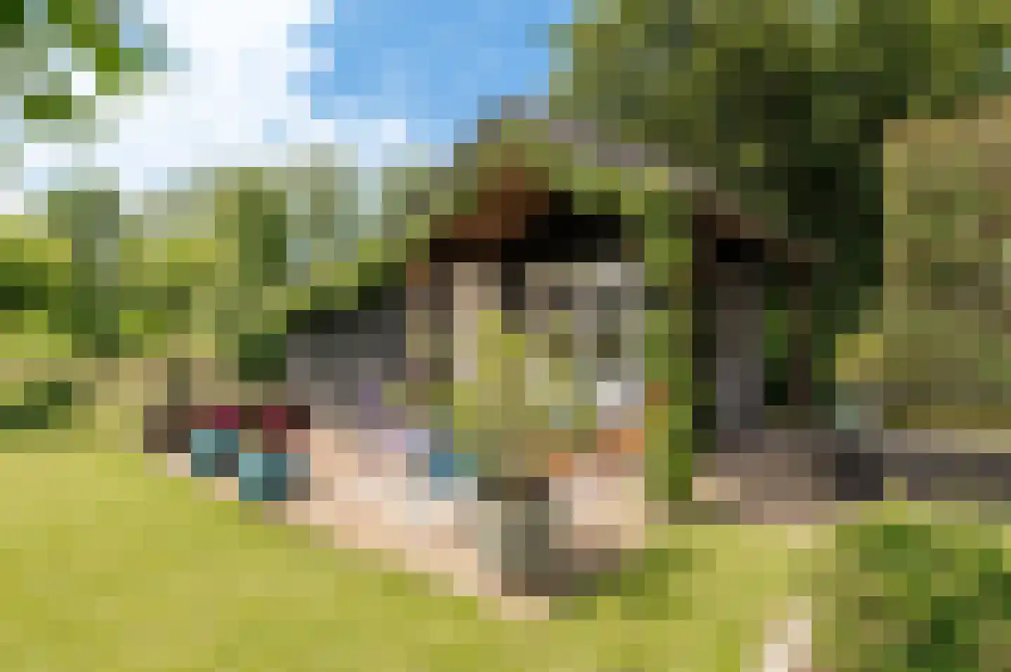 Heuvelkamp 13 Giessen thumbnail 14