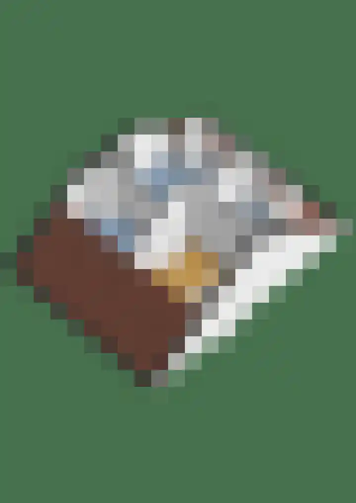 Heuvellaan 75 Gouda thumbnail 21