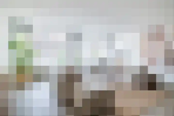 Heuvellaan 75 Gouda thumbnail 7