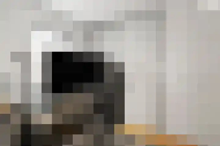 Heuvelsepad 19 Ede thumbnail 34