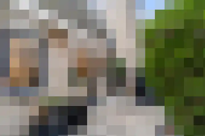 Heuvelsepad 19 Ede thumbnail 39