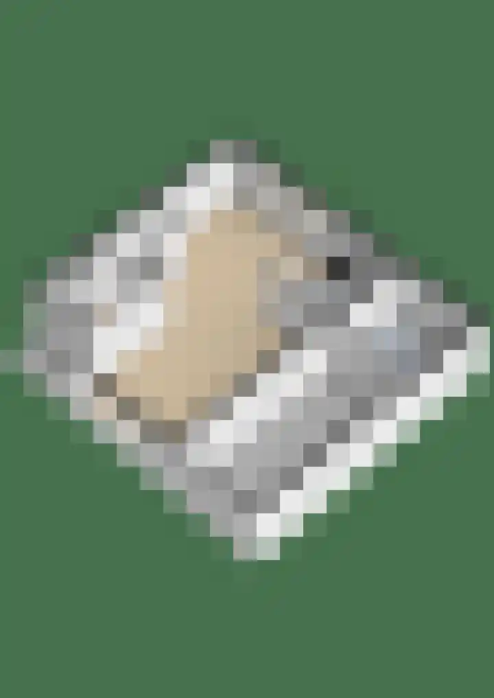 Heuvelsepad 19 Ede thumbnail 46