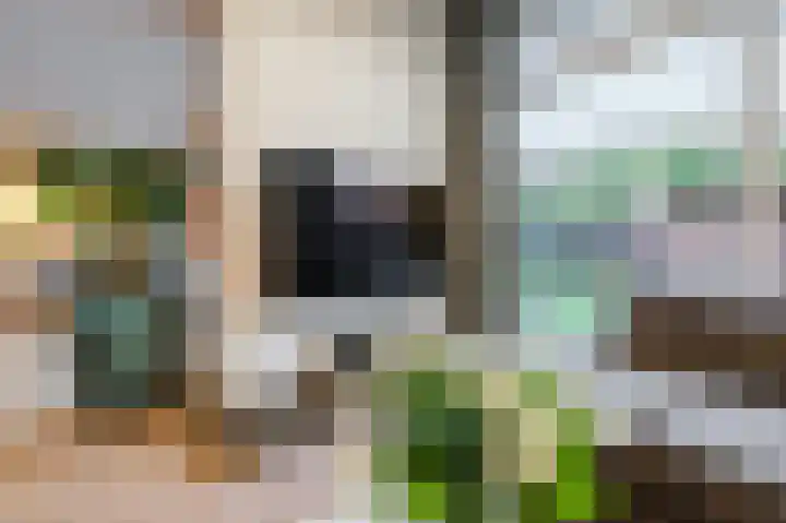 Heuvelwal 36 Veldhoven thumbnail 17
