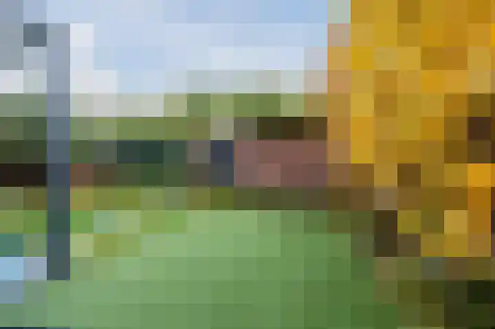 Heuvelwal 36 Veldhoven thumbnail 55