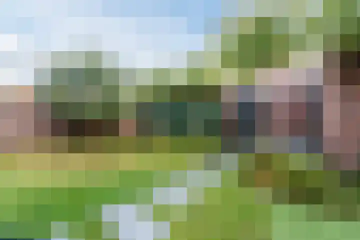 Heuvelwal 36 Veldhoven thumbnail 58